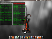 Unity Desk salamander